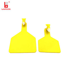Tpu Cattle Ear Tags Same Size Z Type Animal Identification Tags For Managerment