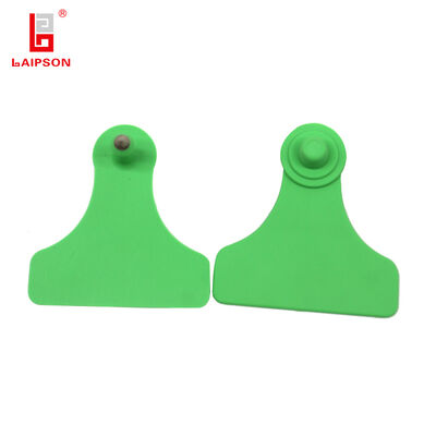 Reusable Pig Ear Tags with Closed Head Design Ideal for Identification in pig cow sheep