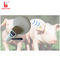 FDX HDX Wireless LF RFID Tag Reader 134.2Khz For Identifying Cattle Sheep