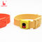 Yellow Soft Rfid Cow Cattle Leg Band Waterproof  720 Mm*30mm ISO9001